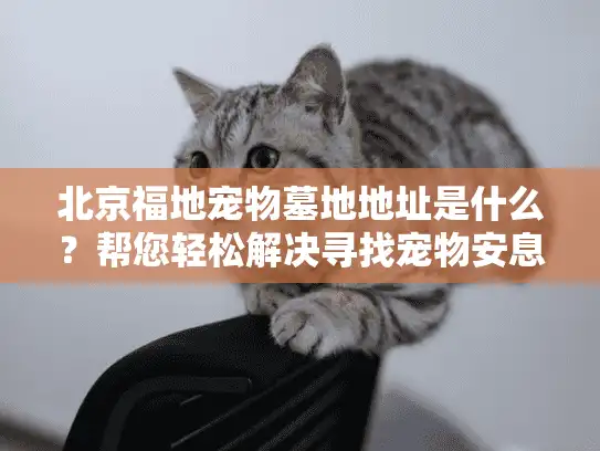 北京福地宠物墓地地址是什么？帮您轻松解决寻找宠物安息之地的难题