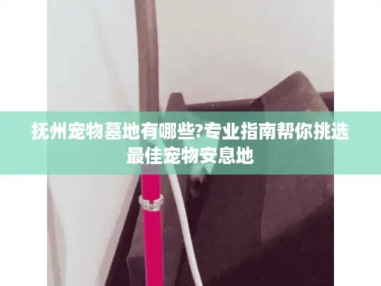 抚州宠物墓地有哪些?专业指南帮你挑选最佳宠物安息地
