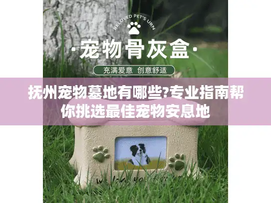 抚州宠物墓地有哪些?专业指南帮你挑选最佳宠物安息地