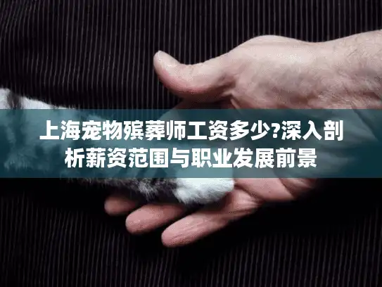上海宠物殡葬师工资多少?深入剖析薪资范围与职业发展前景