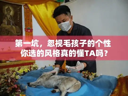 第一坑，忽视毛孩子的个性 你选的风格真的懂TA吗？