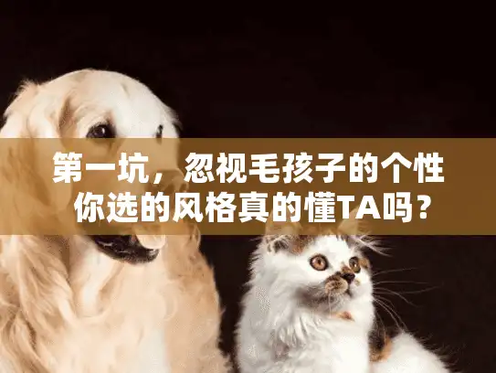 第一坑，忽视毛孩子的个性 你选的风格真的懂TA吗？