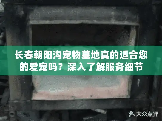 长春朝阳沟宠物墓地真的适合您的爱宠吗？深入了解服务细节