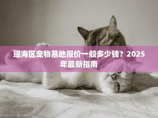 瑶海区宠物墓地报价一般多少钱？2025年最新指南