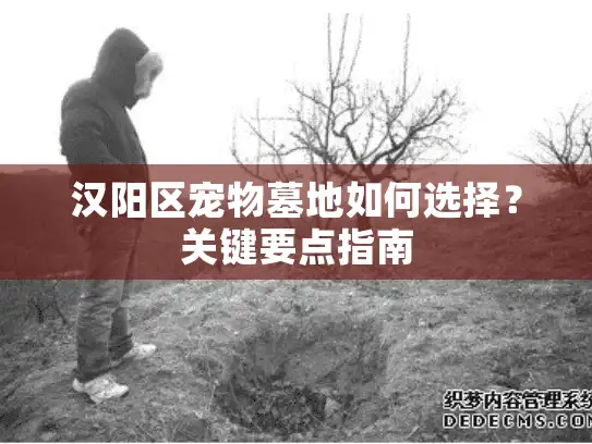 汉阳区宠物墓地如何选择？关键要点指南