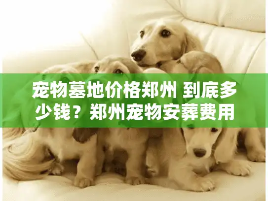 宠物墓地价格郑州 到底多少钱？郑州宠物安葬费用详细揭秘