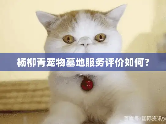 杨柳青宠物墓地服务评价如何？