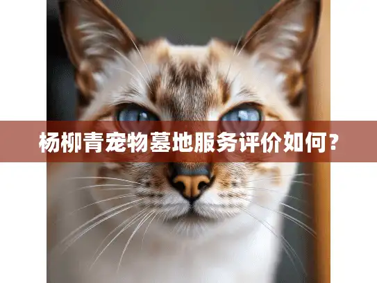 杨柳青宠物墓地服务评价如何？