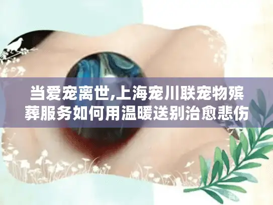当爱宠离世,上海宠川联宠物殡葬服务如何用温暖送别治愈悲伤?