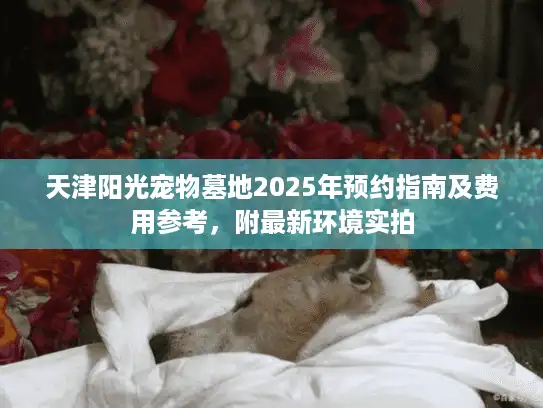 天津阳光宠物墓地2025年预约指南及费用参考，附最新环境实拍