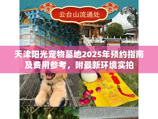 天津阳光宠物墓地2025年预约指南及费用参考，附最新环境实拍