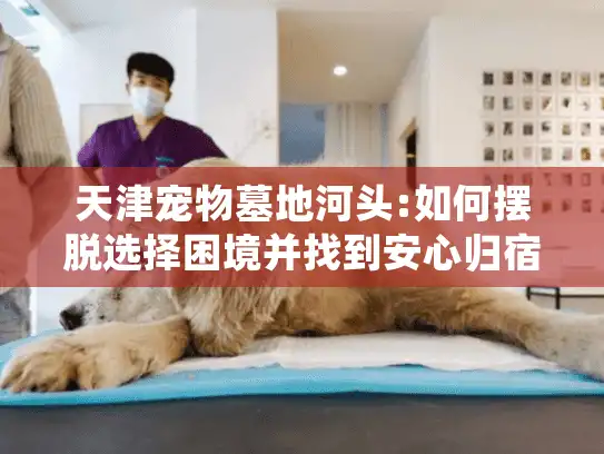 天津宠物墓地河头:如何摆脱选择困境并找到安心归宿?