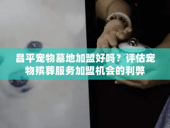 昌平宠物墓地加盟好吗？评估宠物殡葬服务加盟机会的利弊