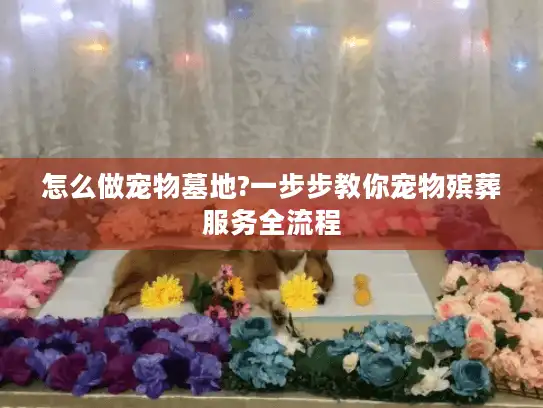 怎么做宠物墓地?一步步教你宠物殡葬服务全流程