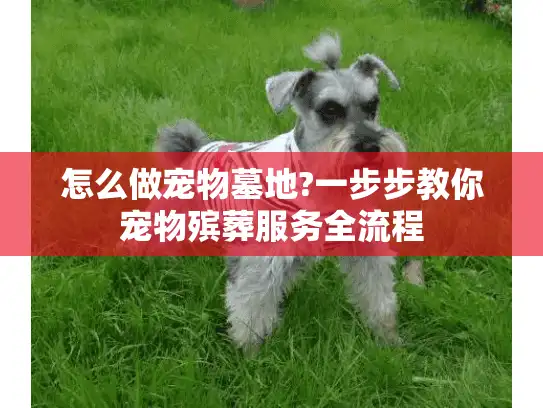 怎么做宠物墓地?一步步教你宠物殡葬服务全流程