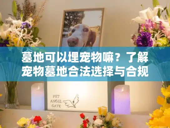 墓地可以埋宠物嘛？了解宠物墓地合法选择与合规流程指南
