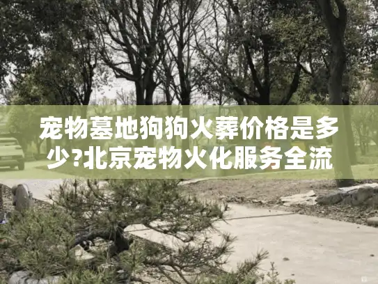 宠物墓地狗狗火葬价格是多少?北京宠物火化服务全流程费用解析