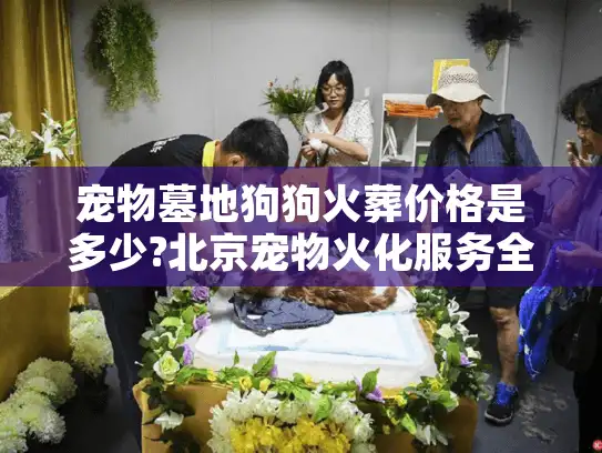 宠物墓地狗狗火葬价格是多少?北京宠物火化服务全流程费用解析