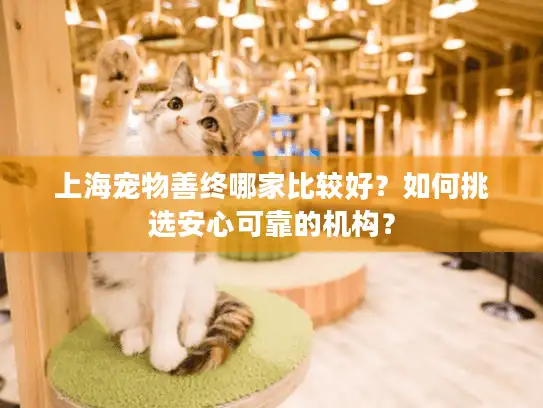 上海宠物善终哪家比较好？如何挑选安心可靠的机构？