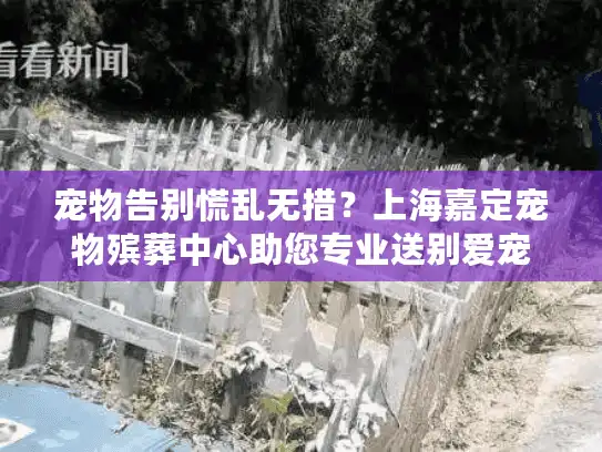 宠物告别慌乱无措？上海嘉定宠物殡葬中心助您专业送别爱宠