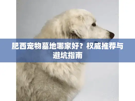 肥西宠物墓地哪家好？权威推荐与避坑指南