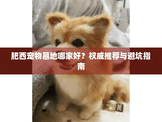 肥西宠物墓地哪家好？权威推荐与避坑指南