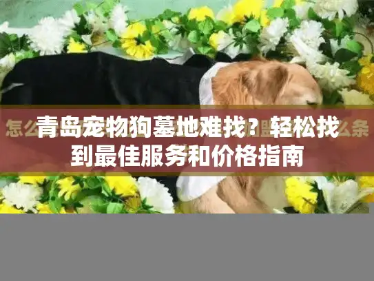 青岛宠物狗墓地难找？轻松找到最佳服务和价格指南