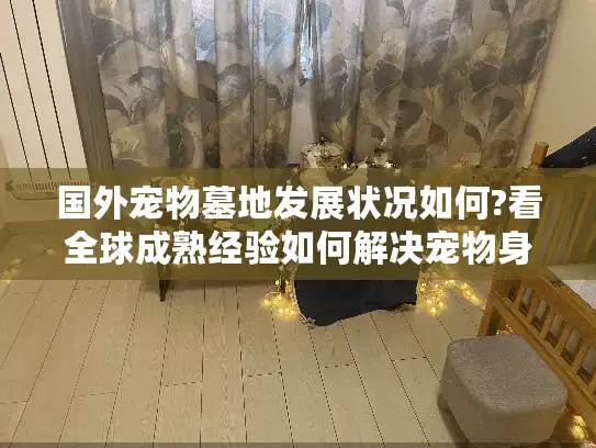 国外宠物墓地发展状况如何?看全球成熟经验如何解决宠物身后事焦虑