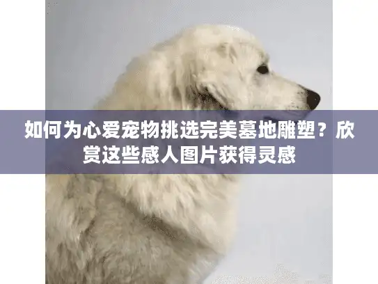 如何为心爱宠物挑选完美墓地雕塑？欣赏这些感人图片获得灵感