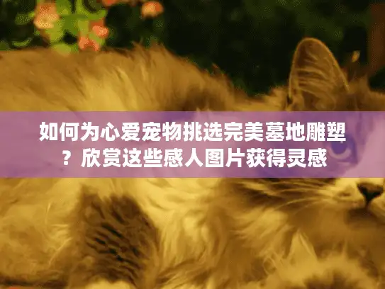 如何为心爱宠物挑选完美墓地雕塑？欣赏这些感人图片获得灵感
