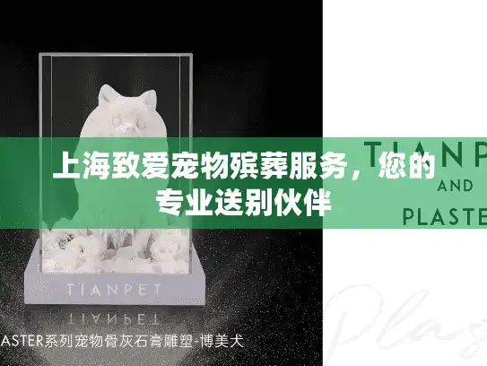 上海致爱宠物殡葬服务，您的专业送别伙伴