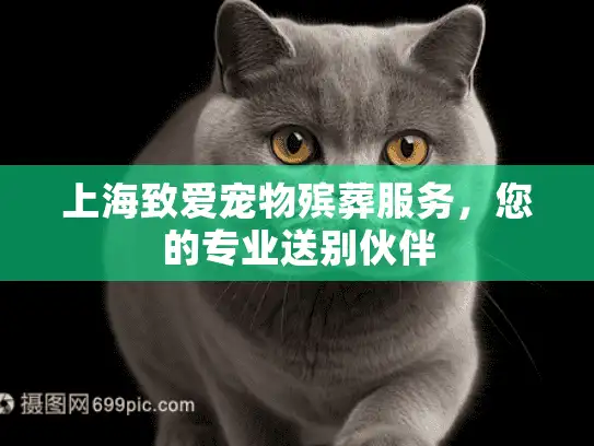 上海致爱宠物殡葬服务，您的专业送别伙伴