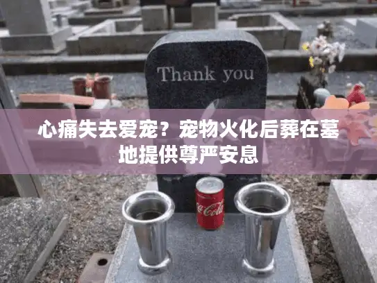 心痛失去爱宠？宠物火化后葬在墓地提供尊严安息
