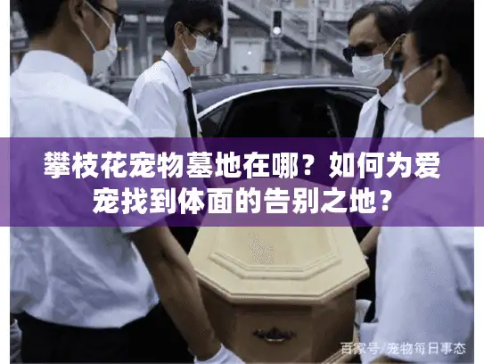 攀枝花宠物墓地在哪？如何为爱宠找到体面的告别之地？