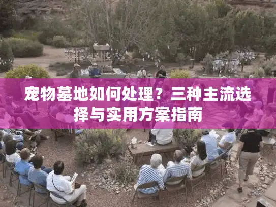 宠物墓地如何处理？三种主流选择与实用方案指南