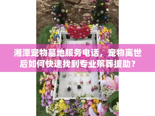 湘潭宠物墓地服务电话，宠物离世后如何快速找到专业殡葬援助？