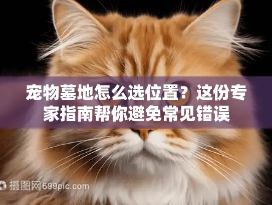 宠物墓地怎么选位置？这份专家指南帮你避免常见错误