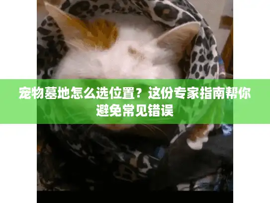 宠物墓地怎么选位置？这份专家指南帮你避免常见错误