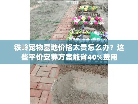 铁岭宠物墓地价格太贵怎么办？这些平价安葬方案能省40%费用