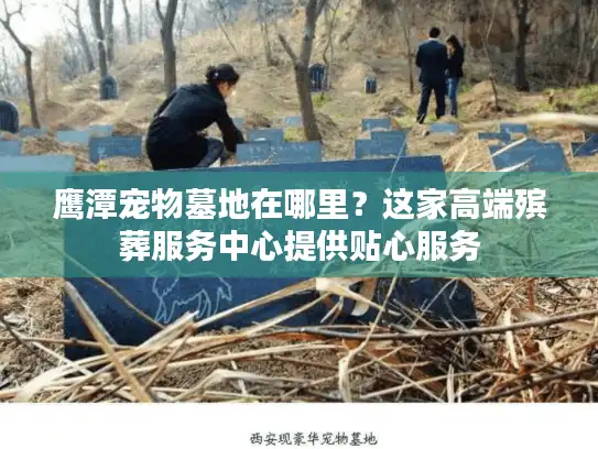 鹰潭宠物墓地在哪里？这家高端殡葬服务中心提供贴心服务