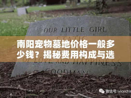 南阳宠物墓地价格一般多少钱？揭秘费用构成与选择攻略