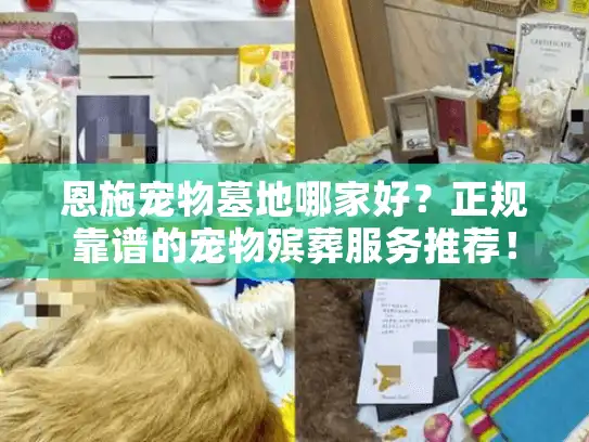 恩施宠物墓地哪家好？正规靠谱的宠物殡葬服务推荐！