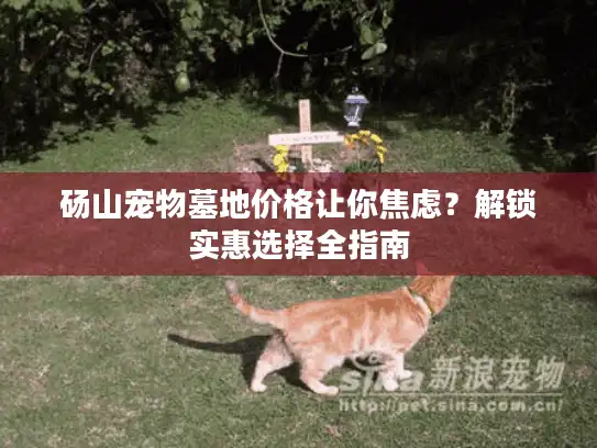 砀山宠物墓地价格让你焦虑？解锁实惠选择全指南