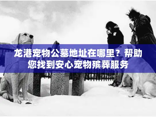 龙港宠物公墓地址在哪里？帮助您找到安心宠物殡葬服务
