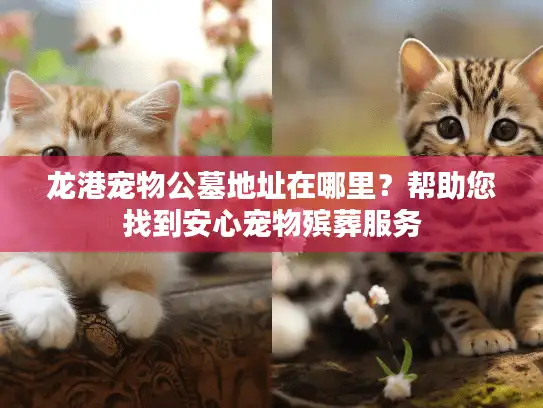 龙港宠物公墓地址在哪里？帮助您找到安心宠物殡葬服务