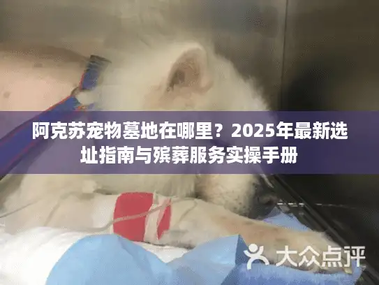 阿克苏宠物墓地在哪里？2025年最新选址指南与殡葬服务实操手册