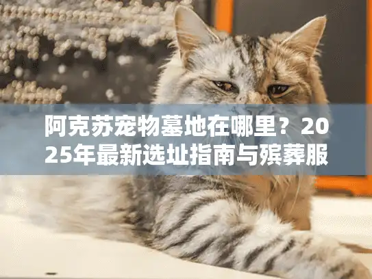 阿克苏宠物墓地在哪里？2025年最新选址指南与殡葬服务实操手册