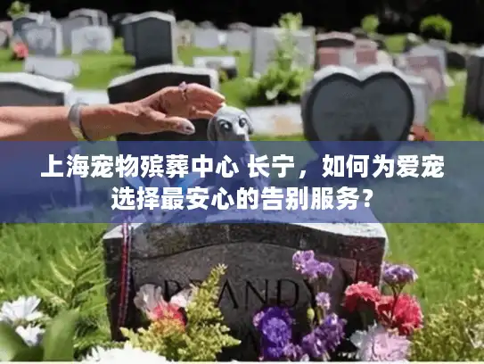 上海宠物殡葬中心 长宁，如何为爱宠选择最安心的告别服务？
