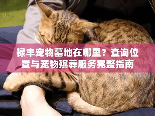 禄丰宠物墓地在哪里？查询位置与宠物殡葬服务完整指南