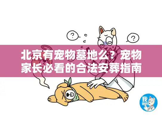 北京有宠物墓地么？宠物家长必看的合法安葬指南